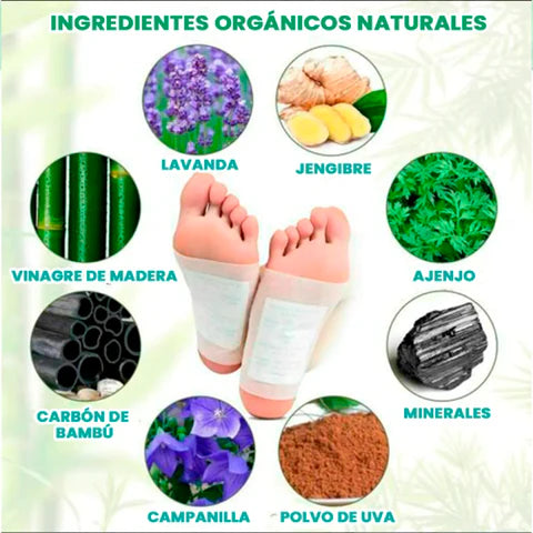 90 PARCHES DESINTOXICANTES de planta de pie